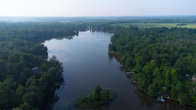 1981 Long Lake Ln, Johnstown Twp, WI 54826 - drone / aerial view of a large body of water and a heavily wooded area