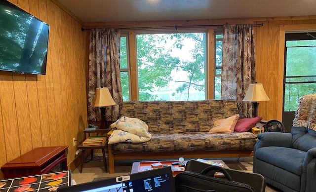 1981 Long Lake Ln, Johnstown Twp, WI 54826 - living room with wood walls and plenty of natural light