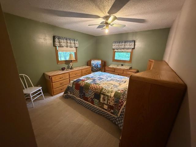 20501 Nebish Rd NE, Blackduck, MN 56630 - bedroom featuring a textured ceiling, ceiling fan, and light colored carpet