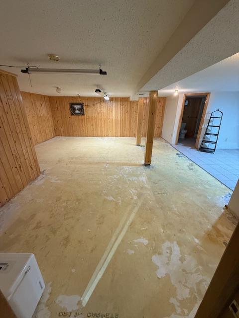 20501 Nebish Rd NE, Blackduck, MN 56630 - finished below grade area featuring wooden walls and a textured ceiling