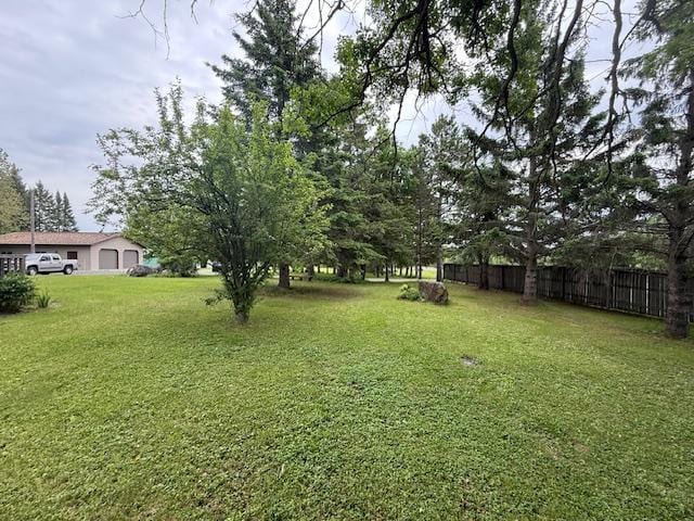 20501 Nebish Rd NE, Blackduck, MN 56630 - view of yard