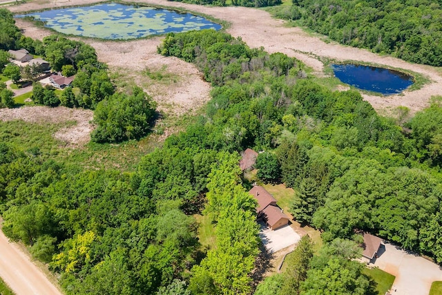 11606 235th St E, Lakeville, MN 55044 - drone / aerial view of a forest and a large body of water