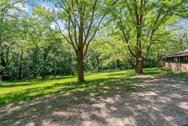 11606 235th St E, Lakeville, MN 55044 - view of yard