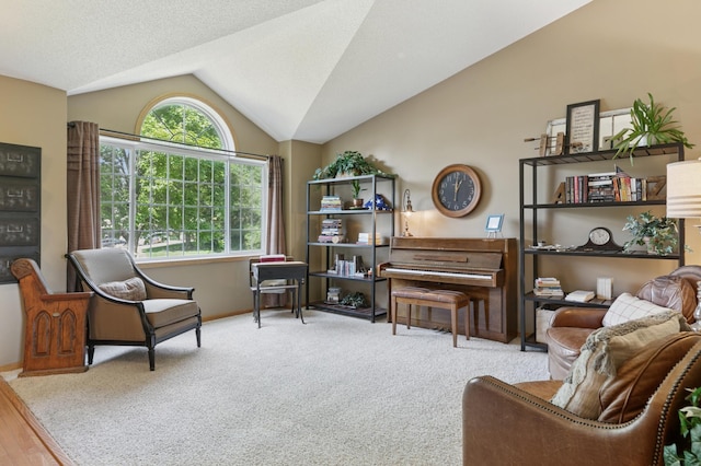 6449 151st St N, Hugo, MN 55038 - living area with lofted ceiling and carpet