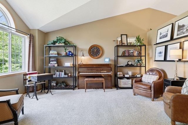 6449 151st St N, Hugo, MN 55038 - living area with vaulted ceiling and carpet