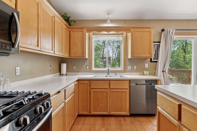 6449 151st St N, Hugo, MN 55038 - kitchen featuring appliances with stainless steel finishes, a sink, light countertops, and plenty of natural light