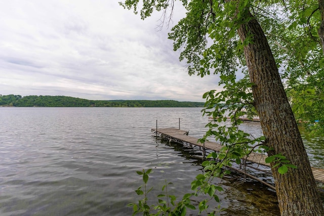 20619 Hillcrest Rd, Elizabeth Twp, MN 56537 - dock featuring a water view