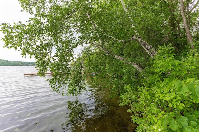20619 Hillcrest Rd, Elizabeth Twp, MN 56537 - water view