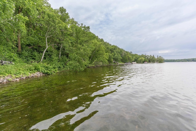 20619 Hillcrest Rd, Elizabeth Twp, MN 56537 - water view featuring a heavily wooded area