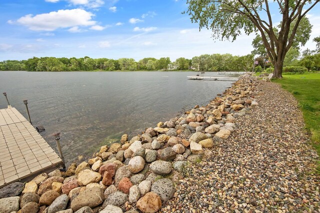 2311 Swan Dr, Mendota Heights, MN 55120 - water view with a boat dock