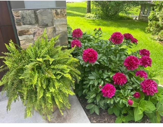 2311 Swan Dr, Mendota Heights, MN 55120 - view of yard