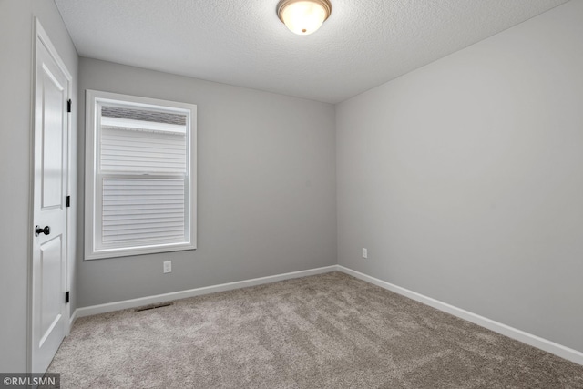 6785 104th St S, Cottage Grove, MN 55016 - spare room featuring carpet, baseboards, and a textured ceiling