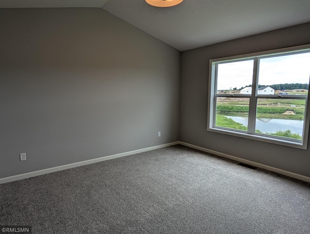 6785 104th St S, Cottage Grove, MN 55016 - spare room featuring carpet and vaulted ceiling