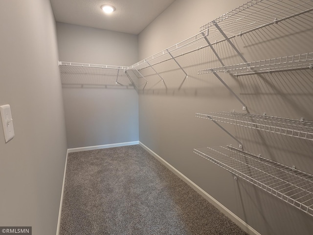6785 104th St S, Cottage Grove, MN 55016 - spacious closet featuring carpet flooring