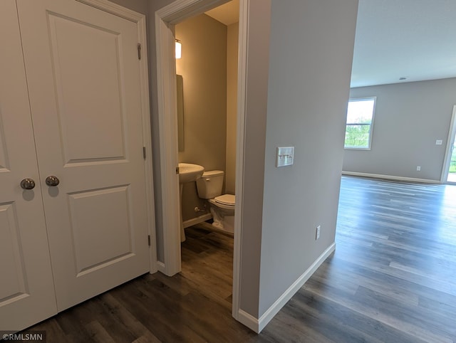 6785 104th St S, Cottage Grove, MN 55016 - corridor with dark wood-type flooring and baseboards