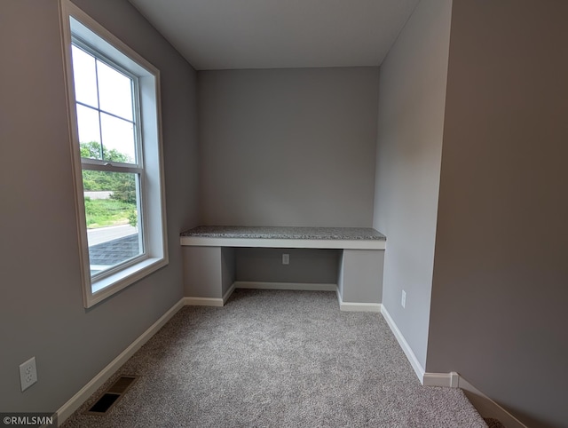 6785 104th St S, Cottage Grove, MN 55016 - unfurnished office featuring carpet floors and built in desk