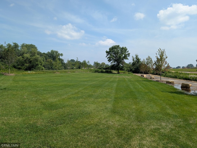 6785 104th St S, Cottage Grove, MN 55016 - photo 22