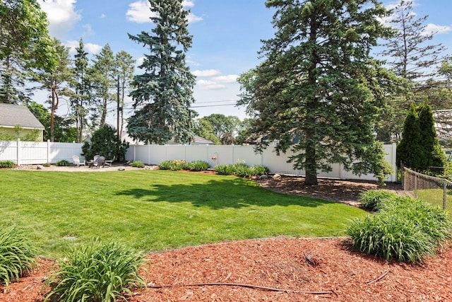 6233 4th Ave S, Richfield, MN 55423 - view of yard featuring a patio