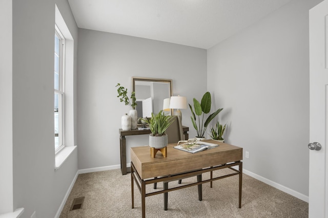 10647 29th St NE, Saint Michael, MN 55376 - office space featuring light carpet and baseboards
