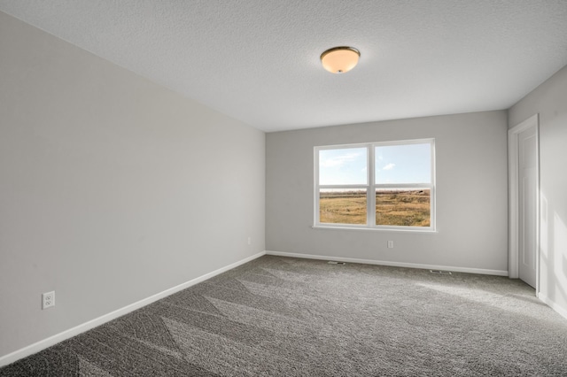 10647 29th St NE, Saint Michael, MN 55376 - unfurnished room featuring carpet floors, baseboards, and a textured ceiling