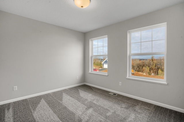 10647 29th St NE, Saint Michael, MN 55376 - carpeted empty room with baseboards