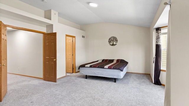 13749 Atrium Ave Unit 2303, Rosemount, MN 55068 - carpeted bedroom with lofted ceiling and baseboards