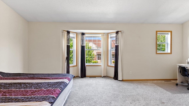 13749 Atrium Ave Unit 2303, Rosemount, MN 55068 - bedroom with light carpet and baseboards