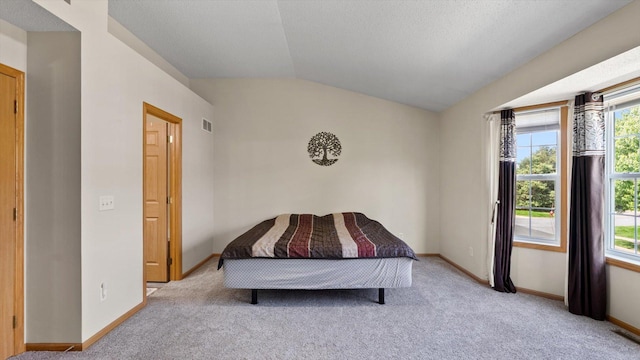 13749 Atrium Ave Unit 2303, Rosemount, MN 55068 - bedroom with carpet flooring, vaulted ceiling, and baseboards