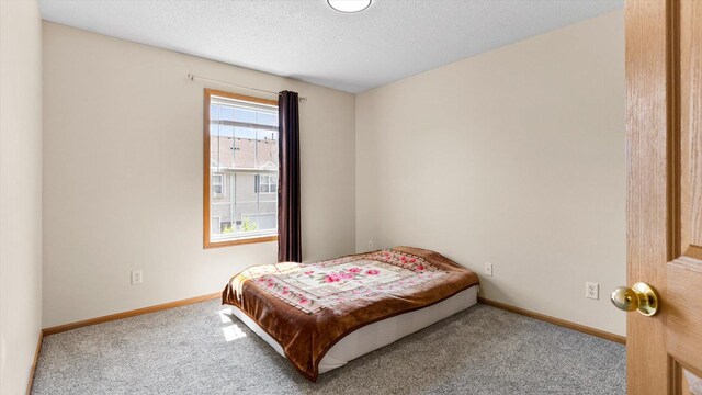 13749 Atrium Ave Unit 2303, Rosemount, MN 55068 - bedroom featuring carpet flooring, baseboards, and a textured ceiling