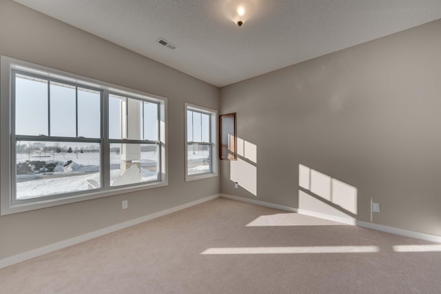 2605 Hanson Ave, Faribault, MN 55021 - unfurnished room with light carpet, baseboards, and a textured ceiling