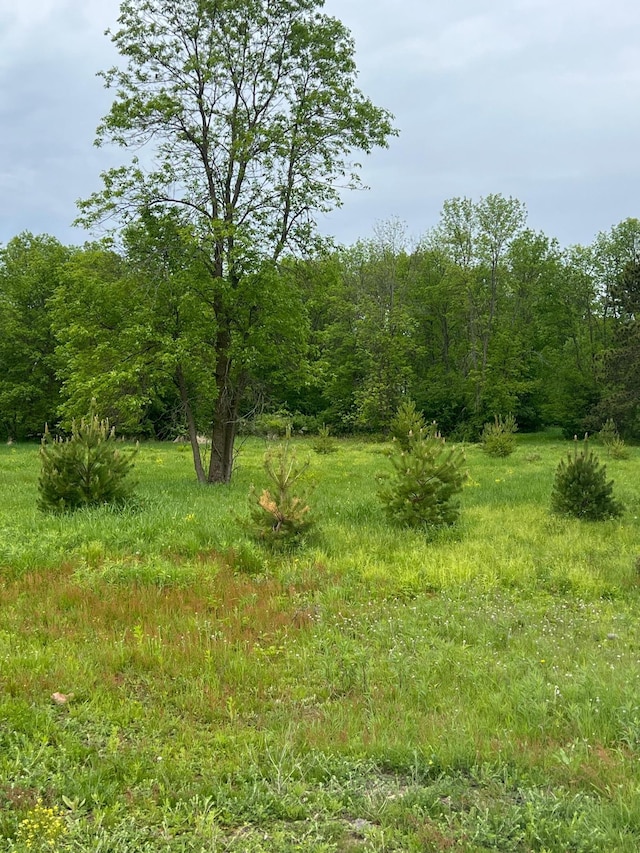TBD Lake Ave, Luck Twp, WI 54853