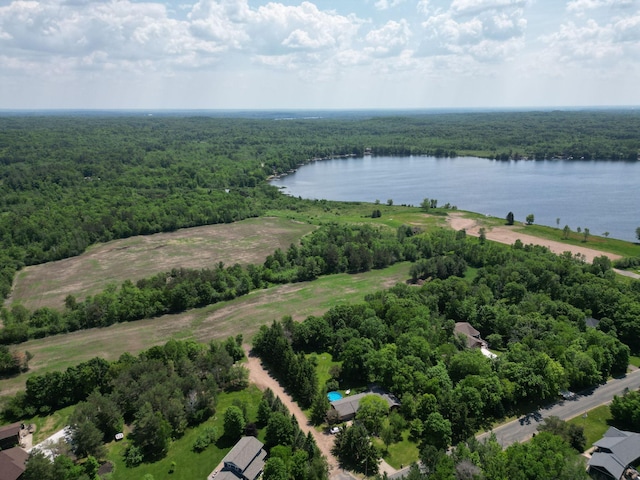 TBD Lake Ave, Luck Twp, WI 54853
