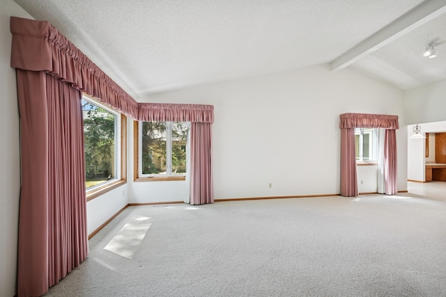 2639 Lake Court Cir Unit 81, Mounds View, MN 55112 - carpeted empty room with baseboards