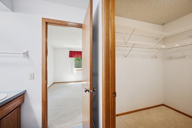 2639 Lake Court Cir Unit 81, Mounds View, MN 55112 - spacious closet featuring carpet floors