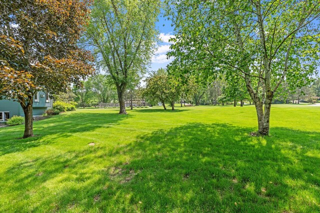 14524 145th Ct NW, Elk River, MN 55330 - photo 8