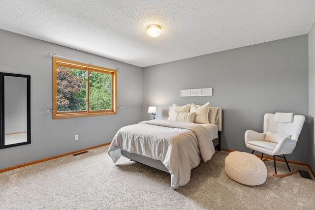 14524 145th Ct NW, Elk River, MN 55330 - photo 35