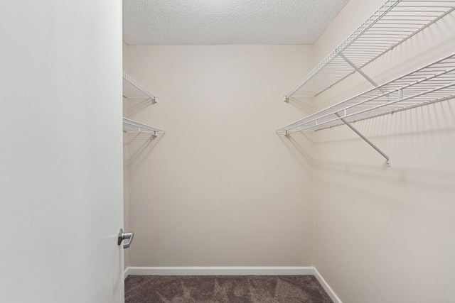 401 1st St Unit 315, Minneapolis, MN 55401 - photo 19