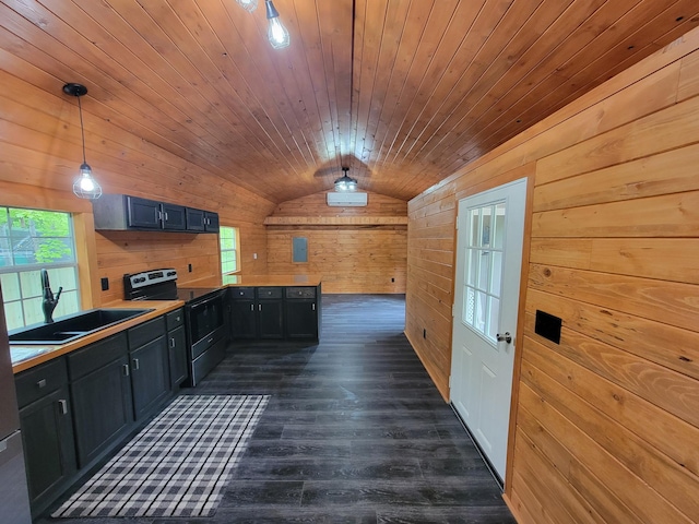 46625 High Dr, Kathio Twp, MN 56450 - kitchen featuring electric stove, vaulted ceiling, wood walls, a sink, and dark wood finished floors