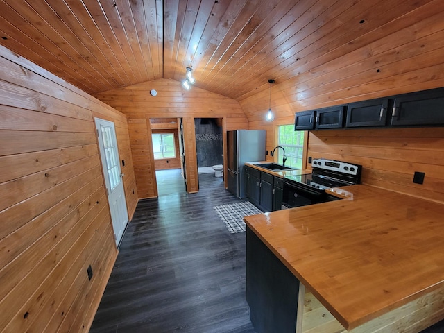 46625 High Dr, Kathio Twp, MN 56450 - kitchen with stainless steel electric stove, vaulted ceiling, wooden walls, a sink, and dark wood-style flooring
