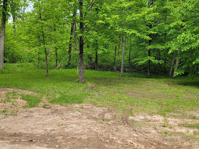 46625 High Dr, Kathio Twp, MN 56450 - view of yard with a forest view