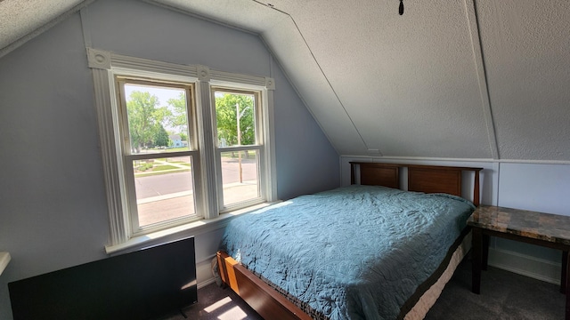 229 2nd Ave, Wanamingo, MN 55983 - carpeted bedroom with lofted ceiling and a textured ceiling