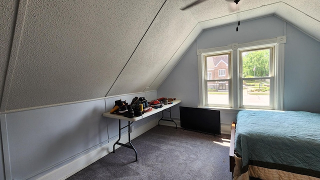 229 2nd Ave, Wanamingo, MN 55983 - carpeted bedroom featuring lofted ceiling and a textured ceiling