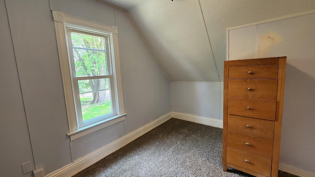 229 2nd Ave, Wanamingo, MN 55983 - additional living space with lofted ceiling, baseboards, and dark colored carpet
