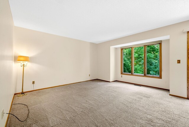 14887 45th Ave N, Plymouth, MN 55446 - photo 11