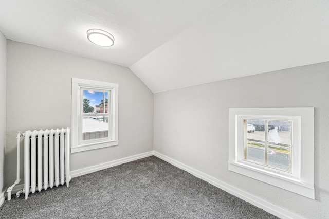 212 Alden St, Arlington, MN 55307 - photo 9