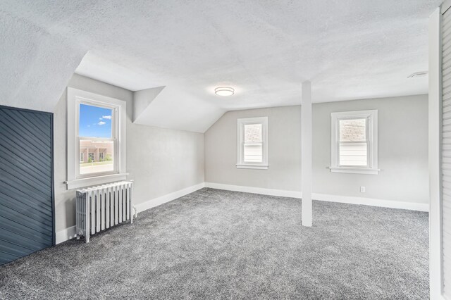 212 Alden St, Arlington, MN 55307 - photo 12