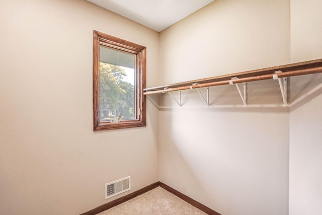1000 Winston Cir, Mendota Heights, MN 55118 - spacious closet featuring carpet floors