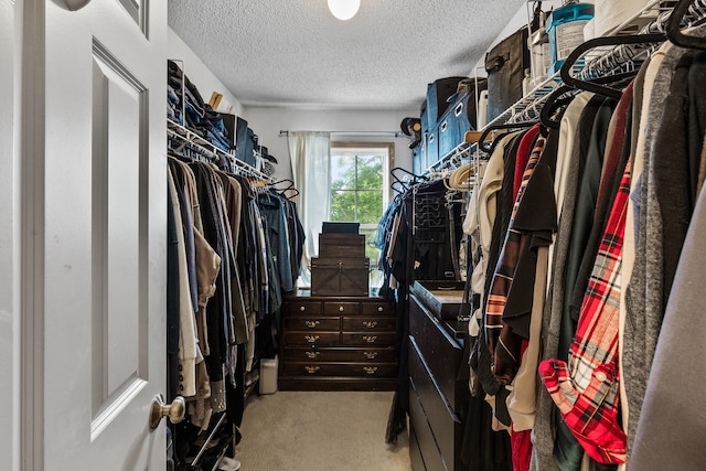 15359 Foliage Ave Unit 501, Apple Valley, MN 55124 - spacious closet with light colored carpet