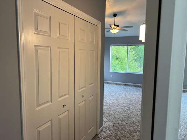 6563 Parkview Cir, Baxter, MN 56425 - hallway featuring dark carpet and baseboards