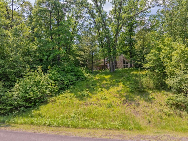 24730 116th St NW, Zimmerman, MN 55398 - photo 64